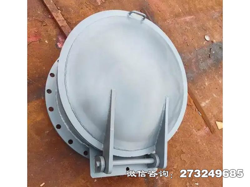 潍坊铸铁圆型防逆流拍门