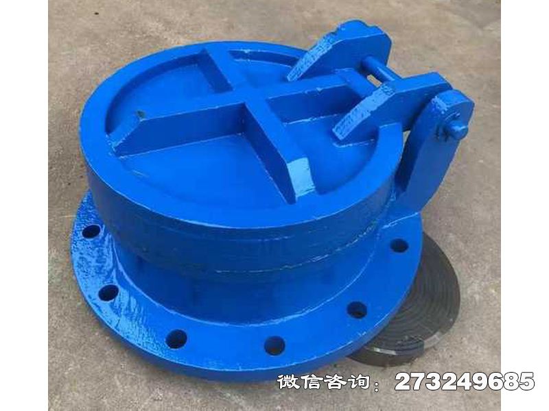 潍坊铸铁圆型截污拍门